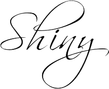 Shiny-Inc. Website Design
